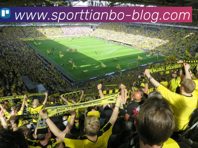 天博体育平台生态图